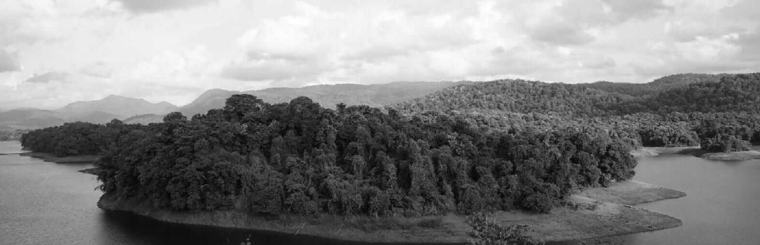 MonoChrome Films